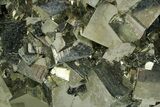 Gleaming Cubic Pyrite Crystal Cluster - Peru #351188-1